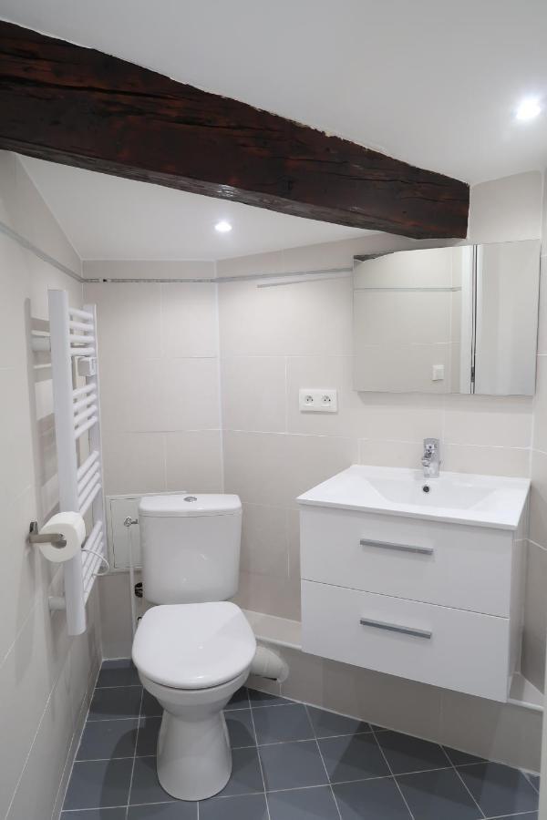 La Terrasse De Wilson Apartment Toulouse Ngoại thất bức ảnh